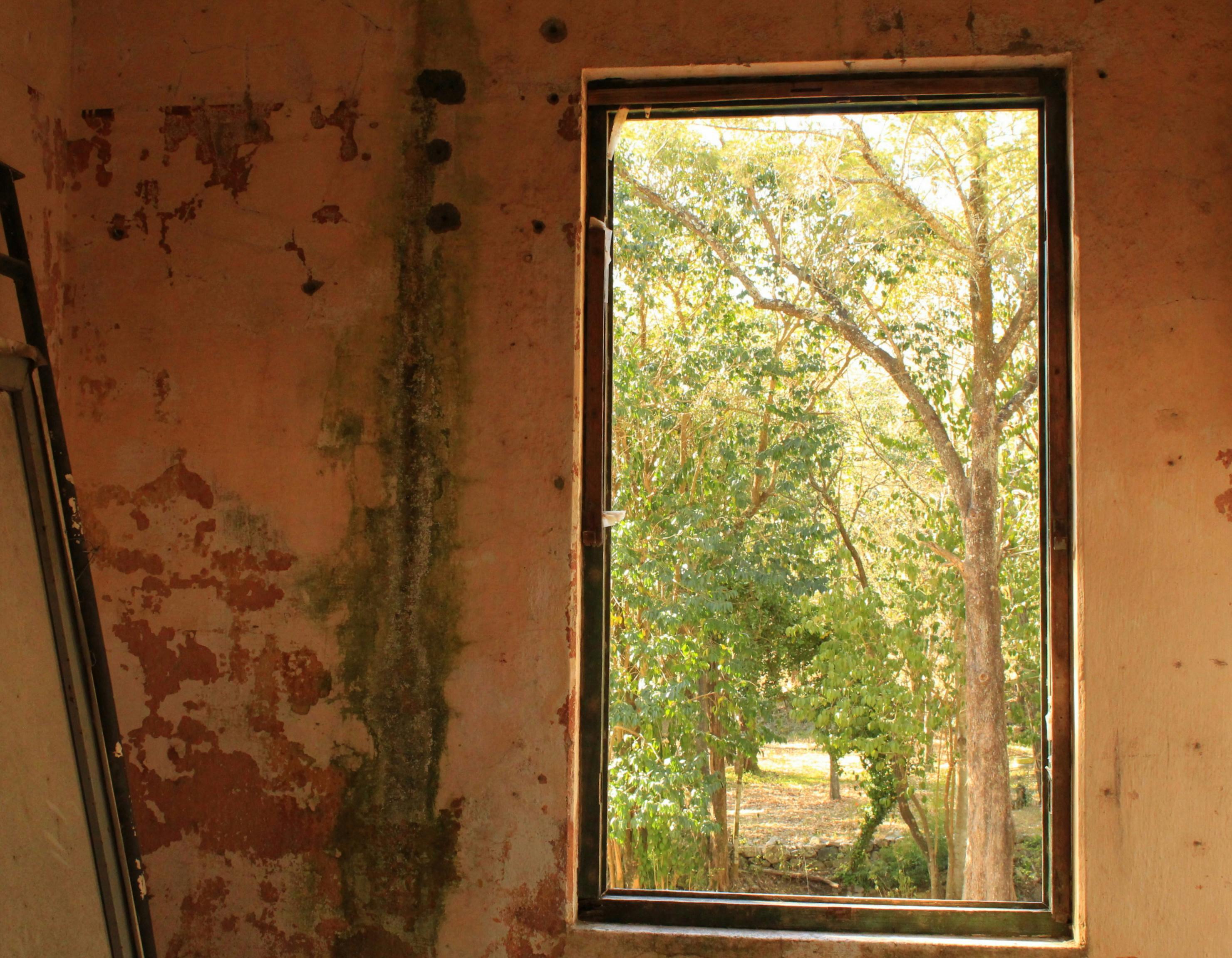 Rustic Window View of Forest in La Falda · Free Stock Photo