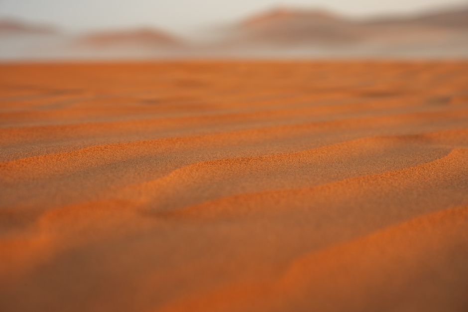 Fotomural Una vista tranquila de las dunas de arena del desierto con tonos cálidos al atardecer, enfocándose en la textura.