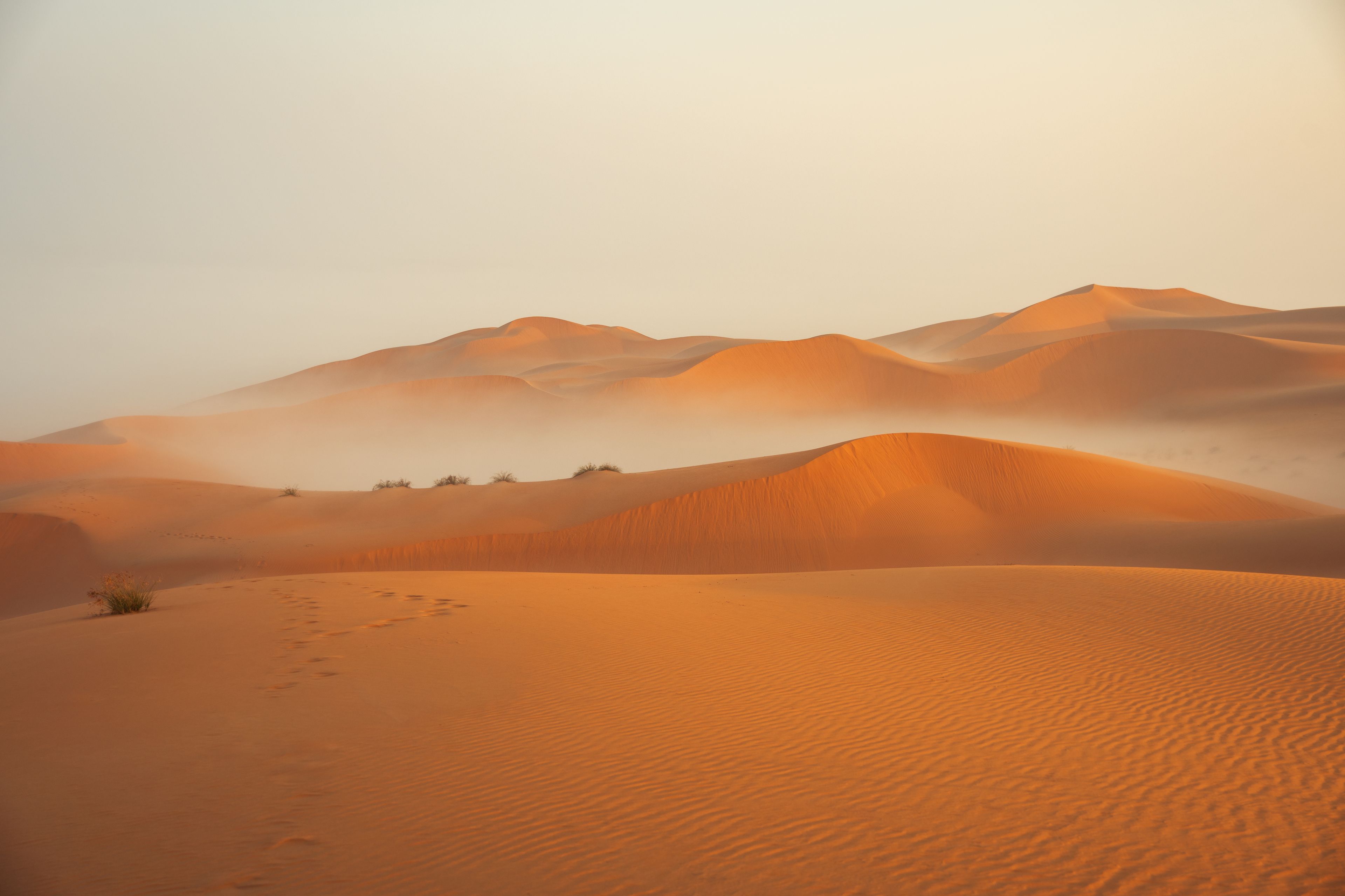 Algérie