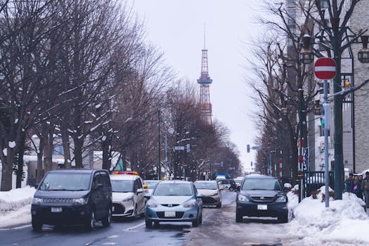 Sapporo, Japan photo 6