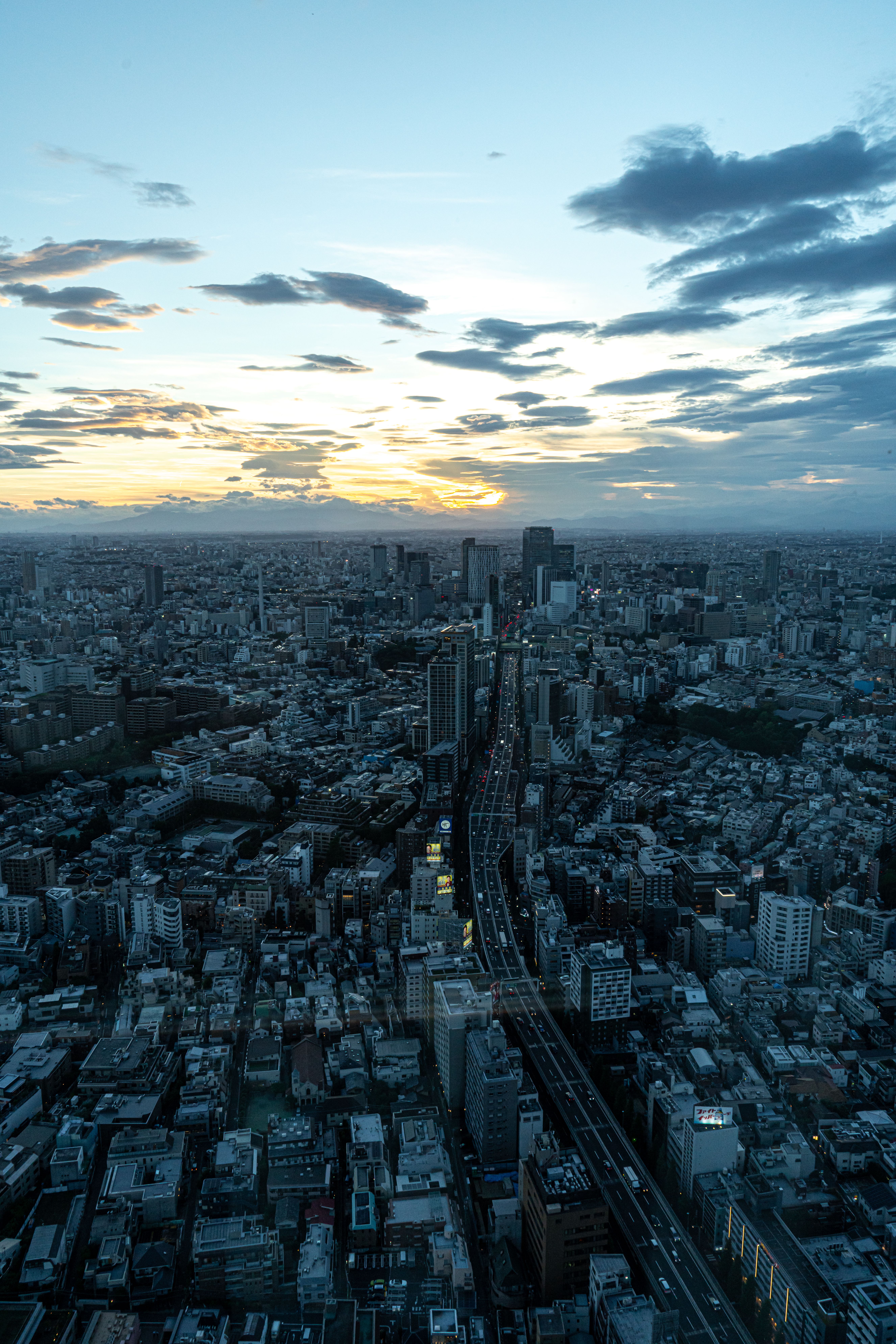 Dusk View of Tokyo Skyline from Above · Free Stock Photo