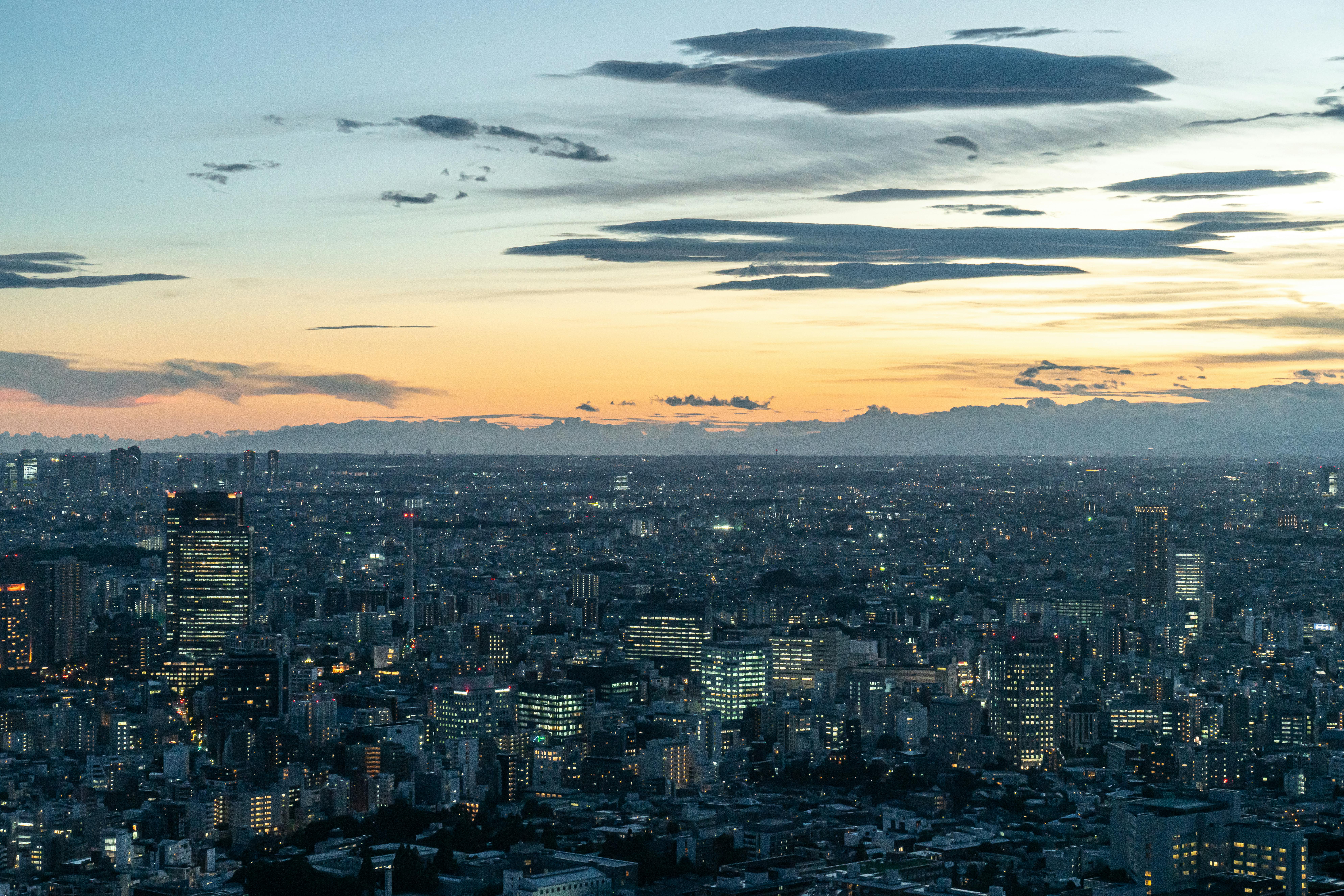 Panoramic view of Tokyo city skyline at twilight, highlighting modern architecture.