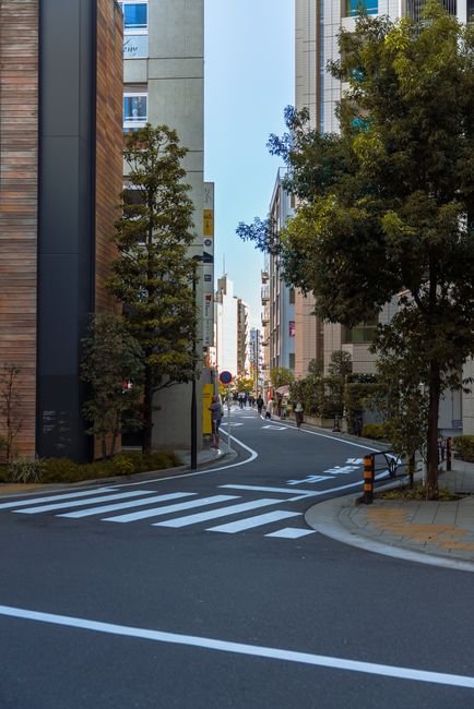 Vibrant urban street with modern buildings and greenery, showcasing urban life.