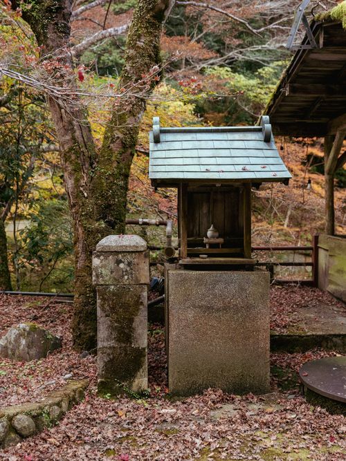 Free Peaceful shrine in a Japanese forest during autumn, surrounded by colorful foliage. Stock Photo
