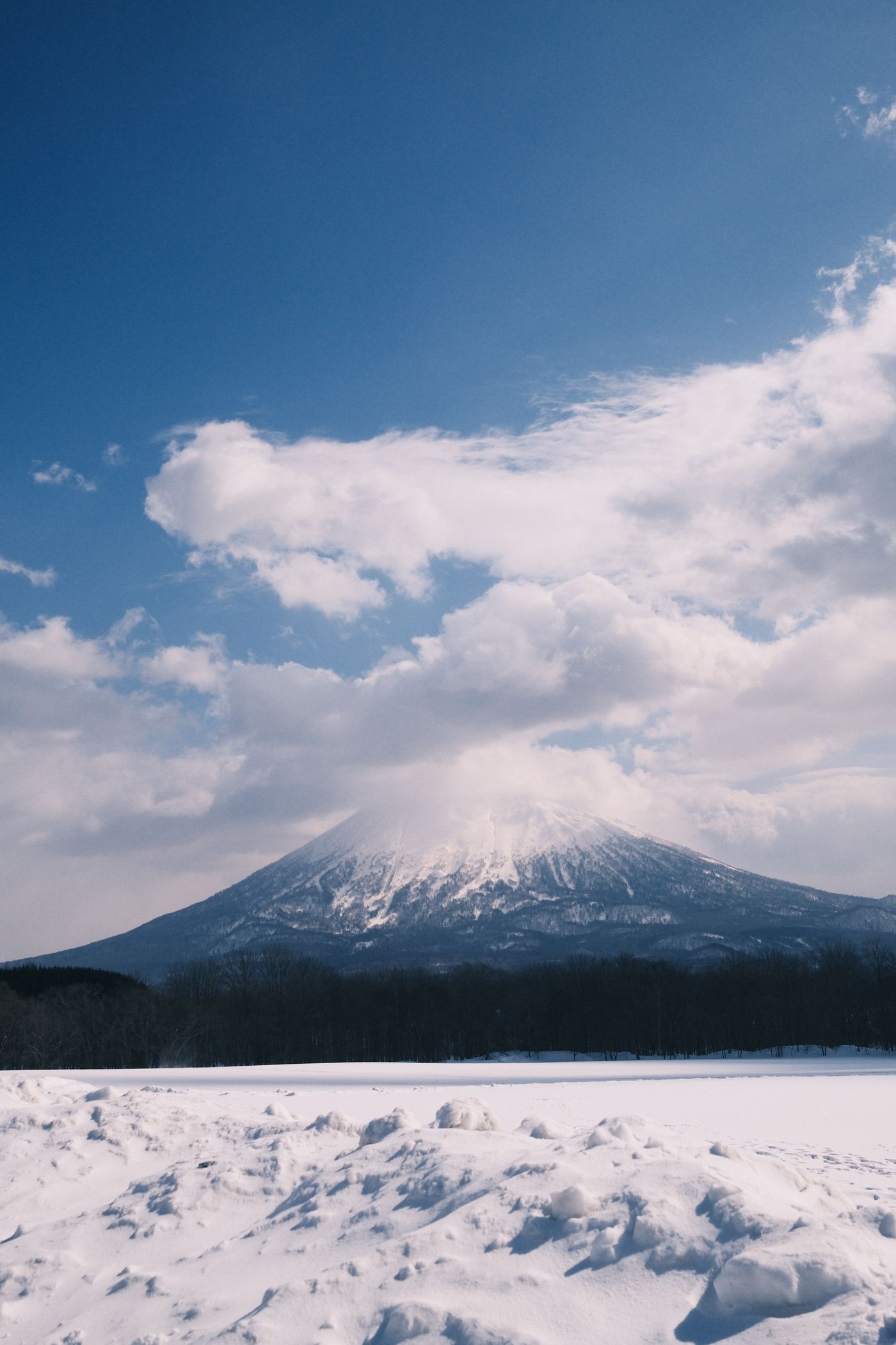 musim dingin hokkaido + tokyo