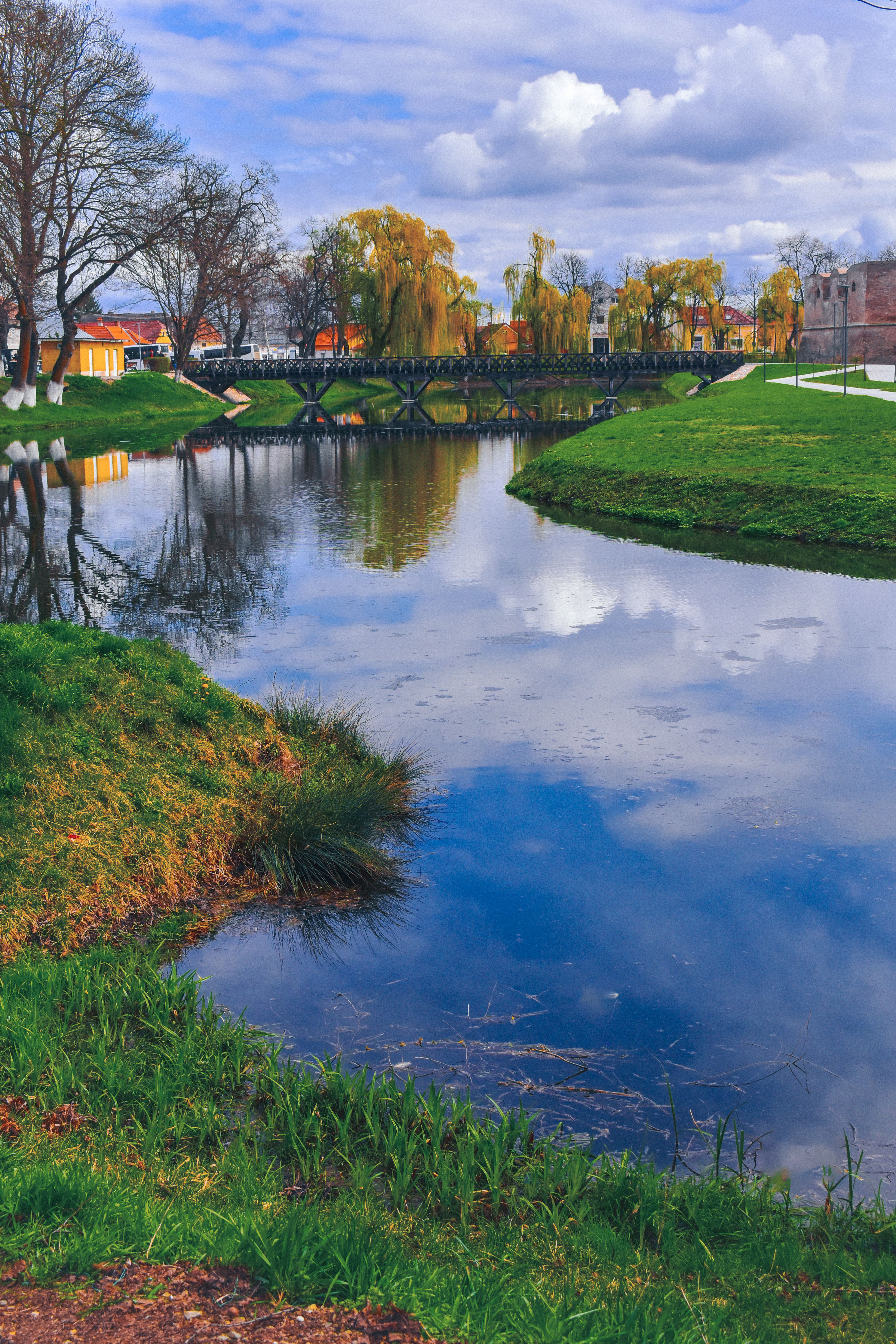 Serene Park Landscape with Reflective Pond and Bridge · Free Stock Photo