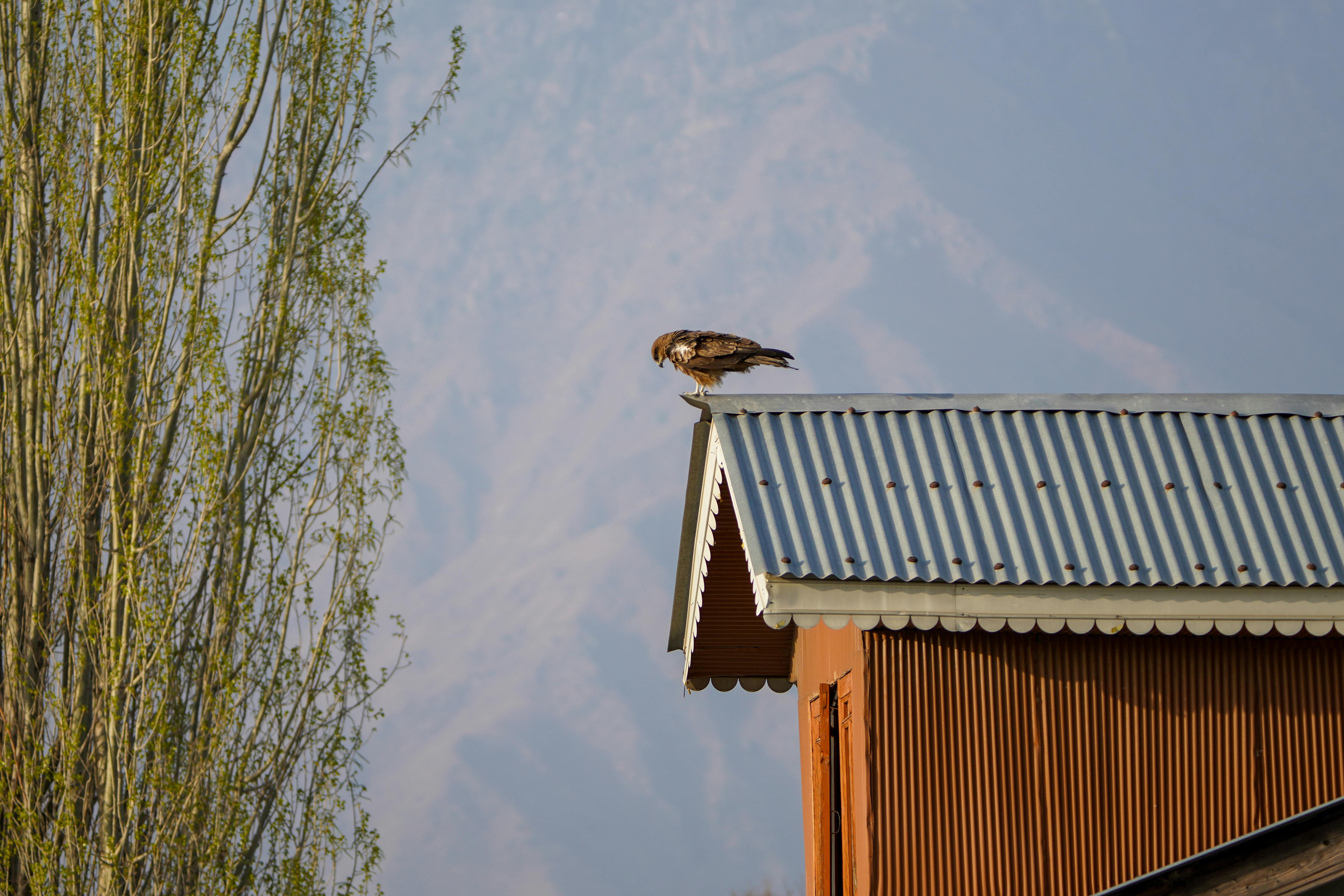 Roof Evaluation The Villages, FL