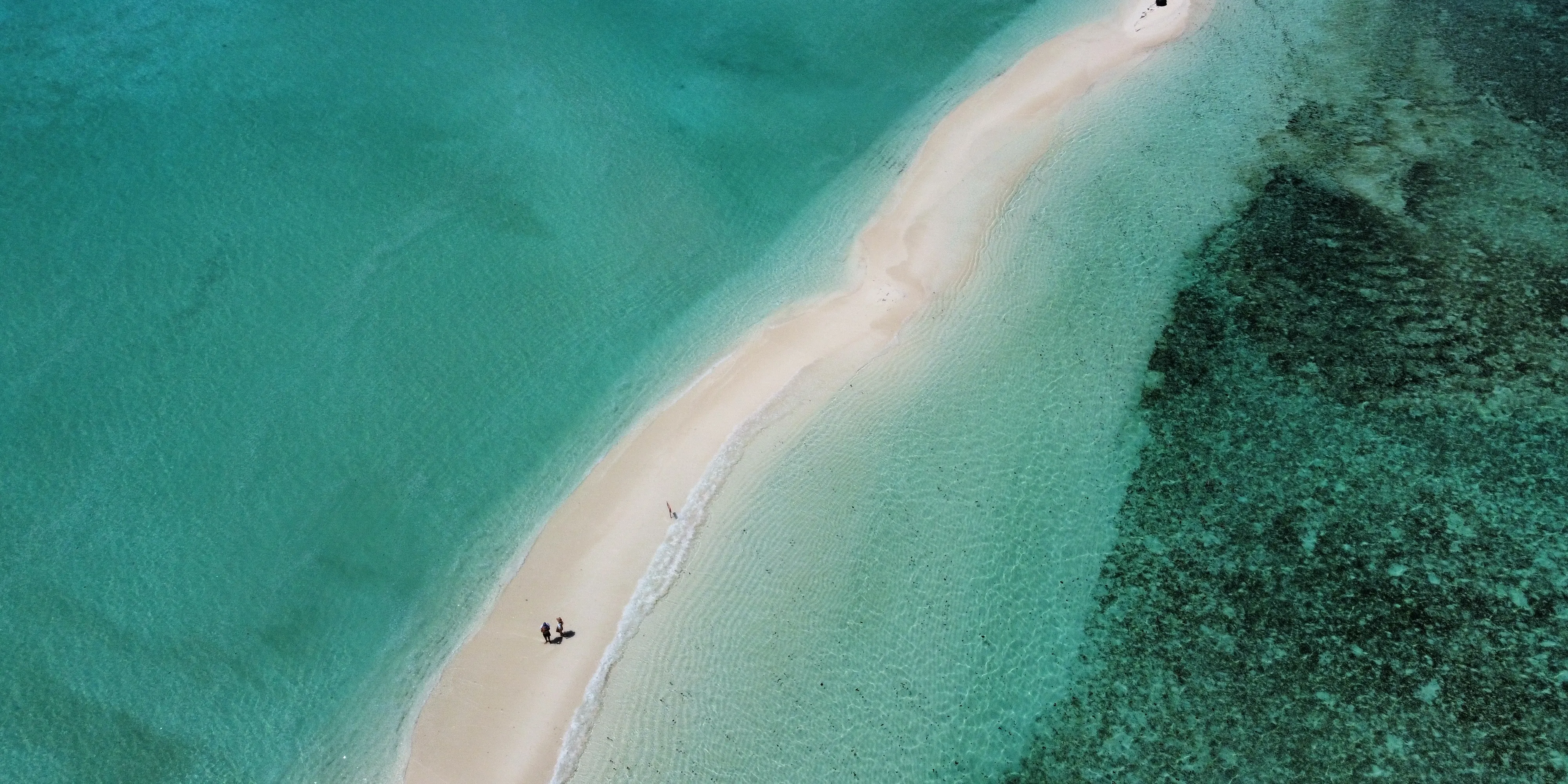 Private Sandbank Picnic & Dolphin Cruise