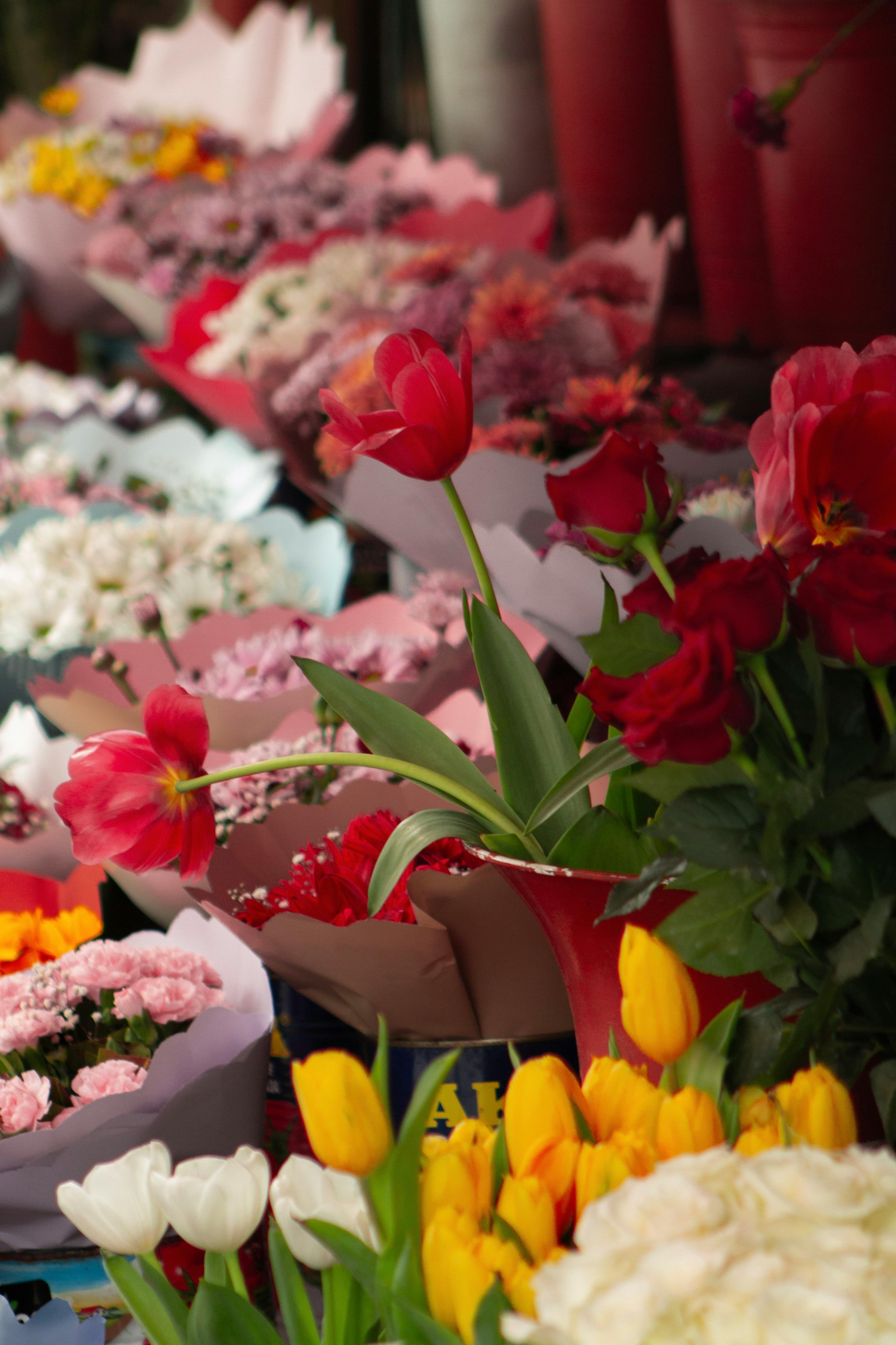 [ColoSach]-colorful-flower-bouquets-with-tulips-and-carnations-on-display-at-a-market-in-ankara,-türkiye.