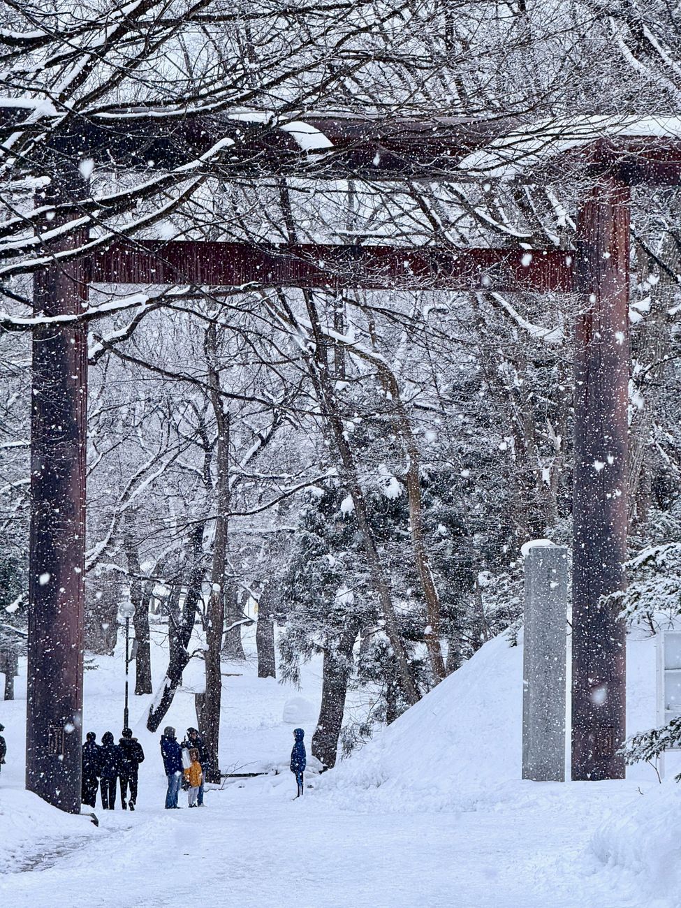 札幌でスーパー銭湯を選ぶポイント