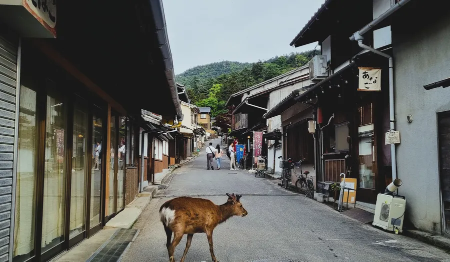 Naramachi