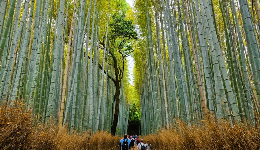 Jour 2 à Kyoto