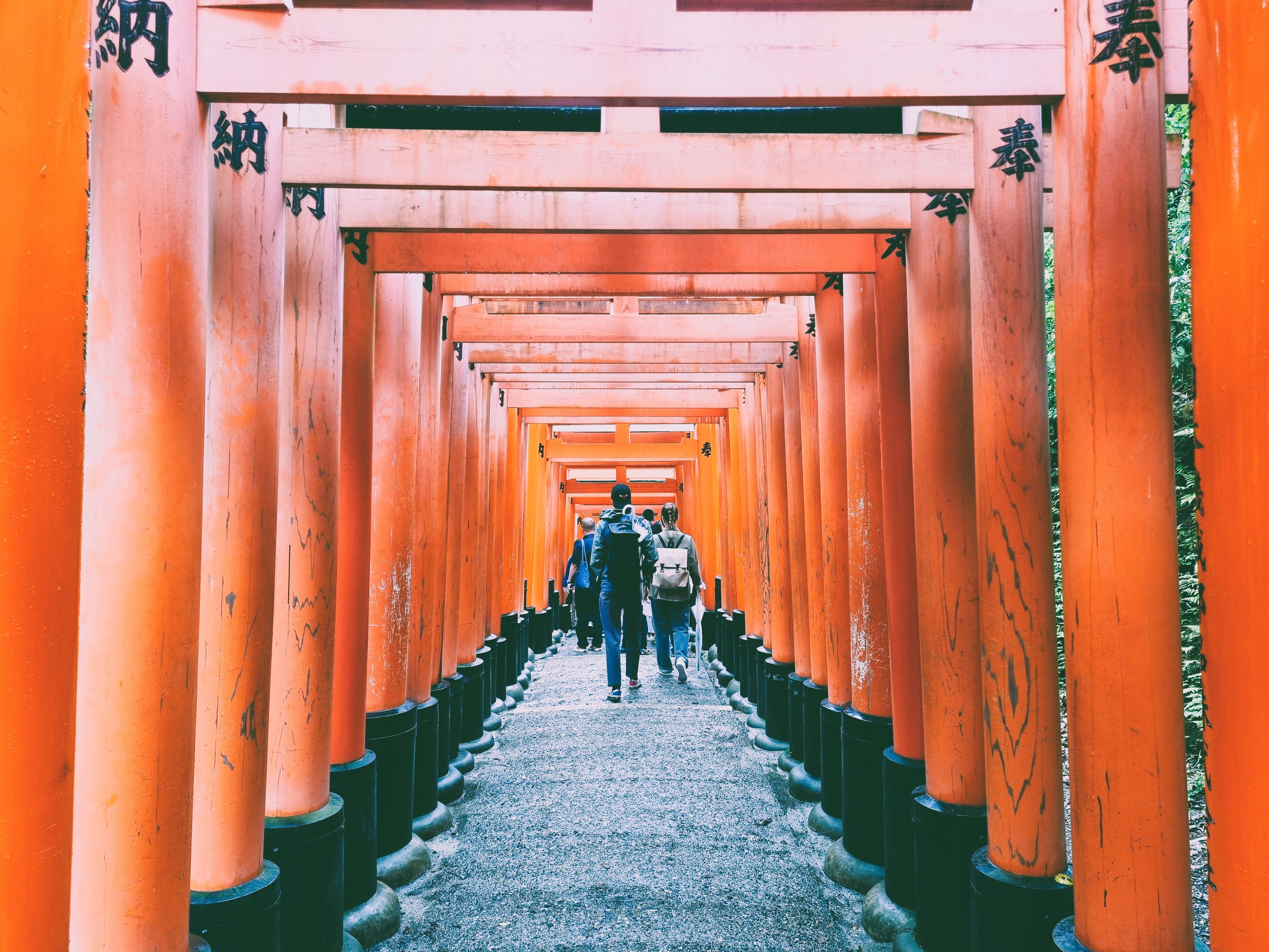 Exploring Fushimi Inari Shrine's Iconic Torii Gates · Free Stock Photo