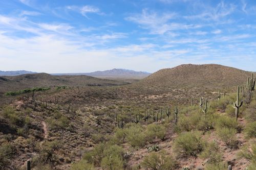 Free Expansive desert landscape with saguaro cacti under clear blue skies in Vail, Arizona. Stock Photo