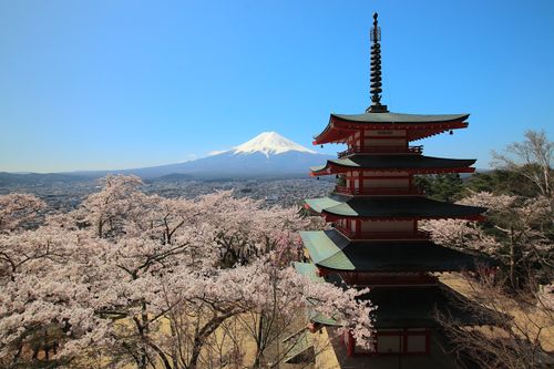 Free Iconic view of Chureito Pagoda and Mount Fuji during cherry blossom season in Fujiyoshida, Japan. Stock Photo