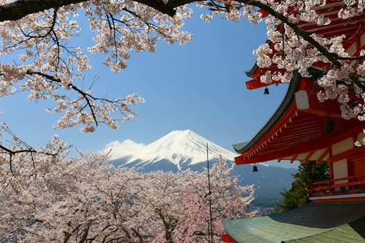 Beautiful cherry blossoms framing Mount Fuji and Chureito Pagoda in spring, Fujiyoshida.