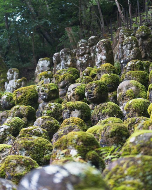 Discover tranquil moss-covered Buddha statues in Kyoto's serene Buddhist temple gardens.
