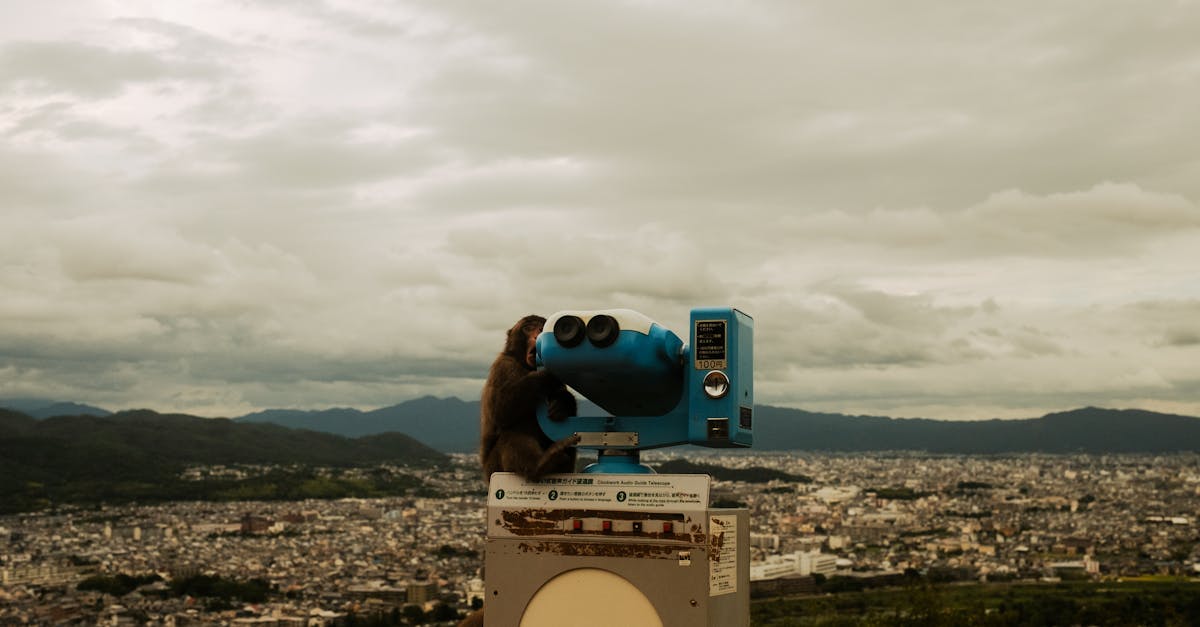 🌟日本动画爱好者注意!2027年全新动画师招募开始!🎨✨ 🌟日本动画爱好者注意!2027年全新动画师招募开始!🎨✨