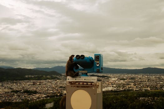 A Japanese macaque looks through binoculars over the cityscape of Kyoto, Japan.