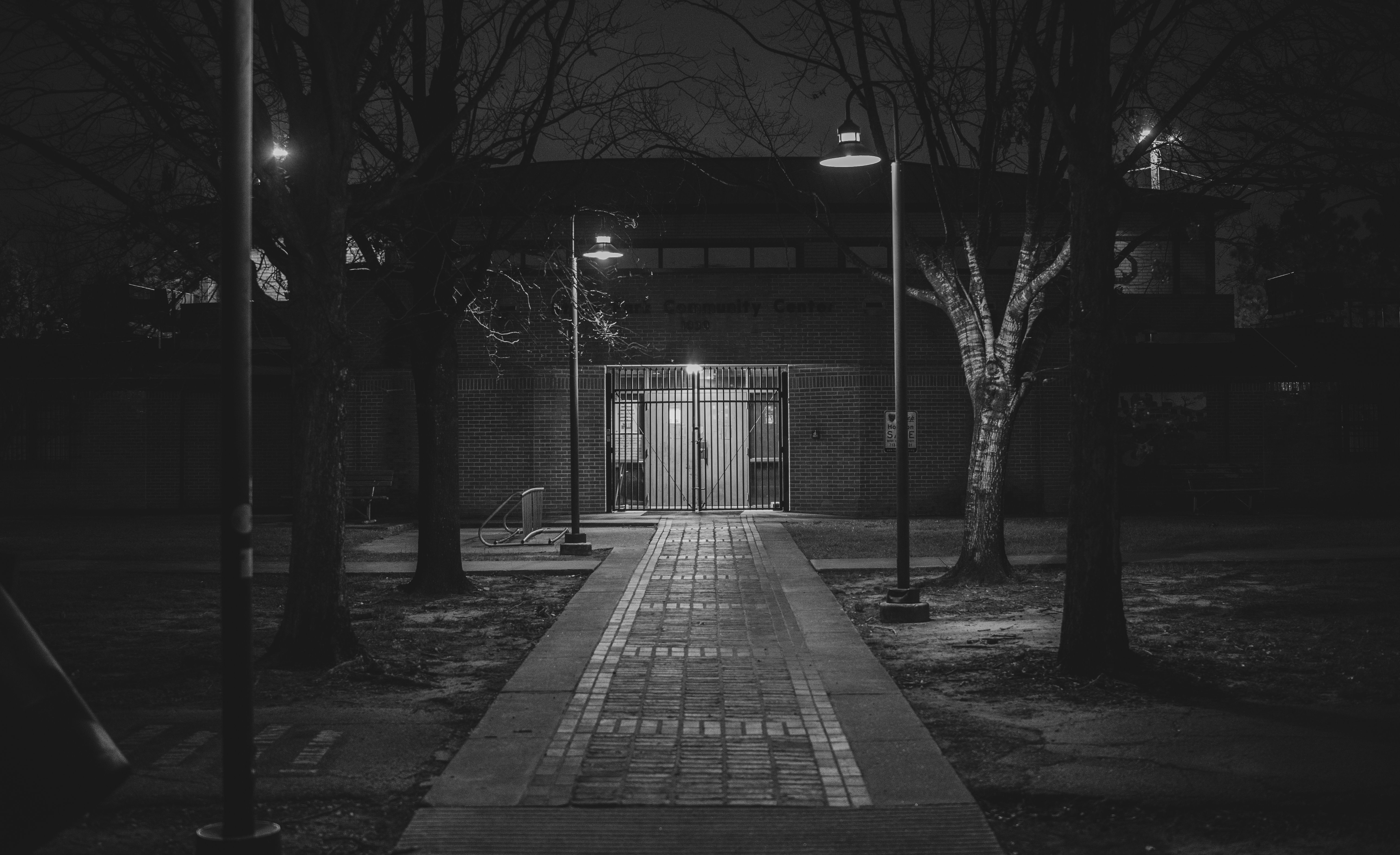 Photos: Center for Creative Photography announces acquisition of nine photography archives — Photo by Ian Findley on Pexels