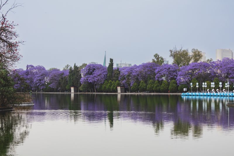 Lake Anosy
