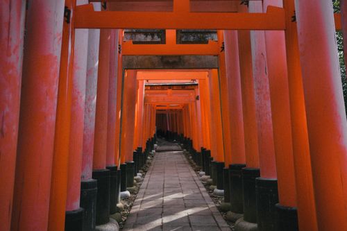Free A captivating view through the vibrant orange torii gates of Fushimi Inari Shrine in Kyoto, Japan. Stock Photo