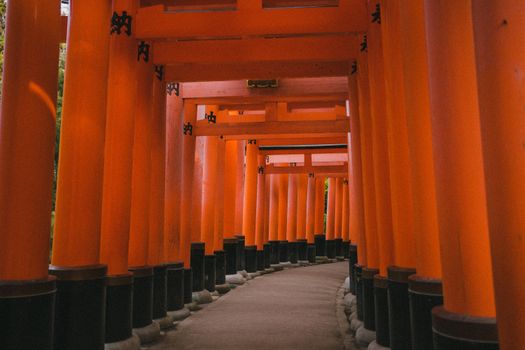 Fushimi Inari dawn before the crowds — Kyoto