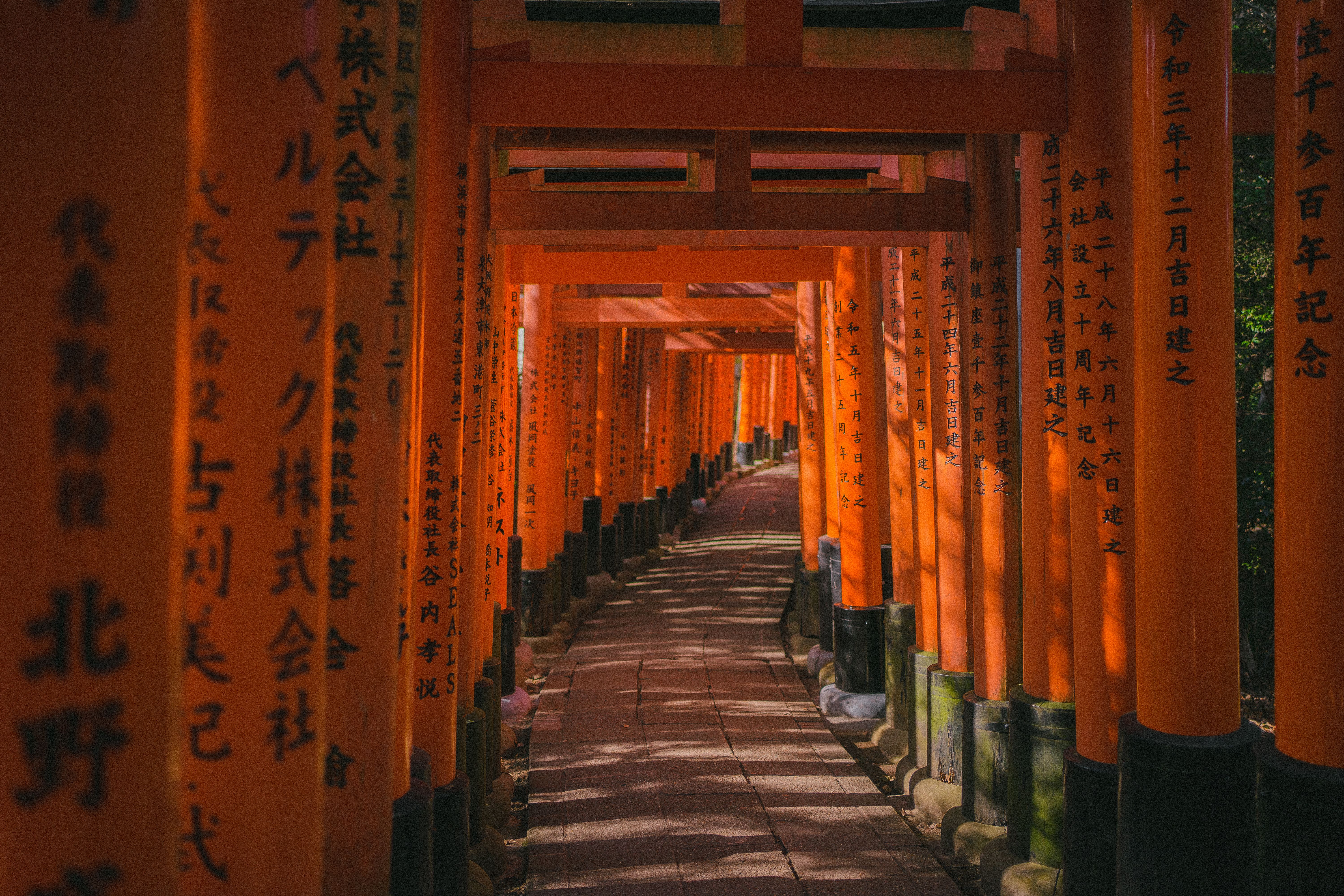 Fushimi Inari Shrine Path with Torii Gates · Free Stock Photo