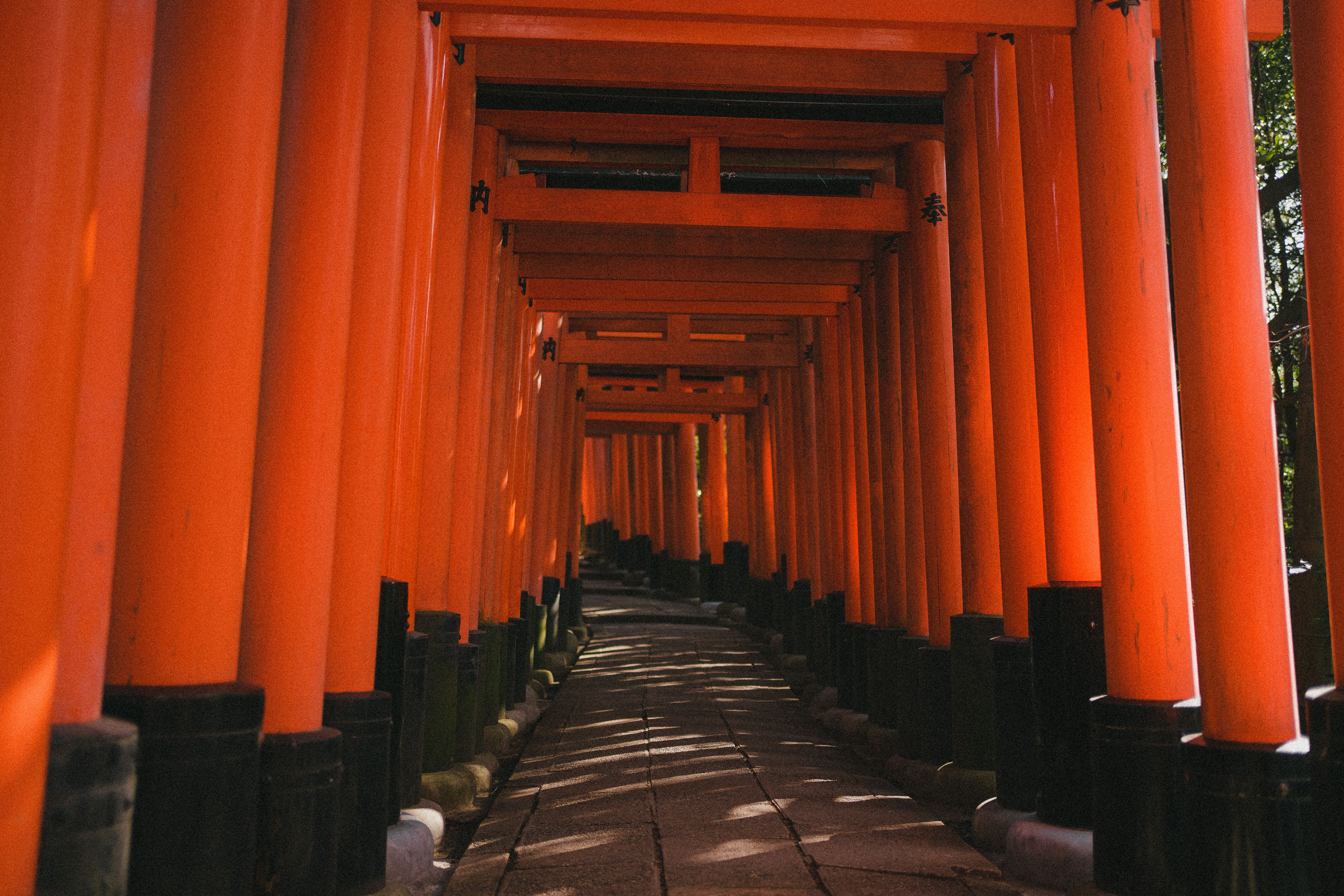 Fushimi Inari Taisha Torii Gates in Kyoto · Free Stock Photo