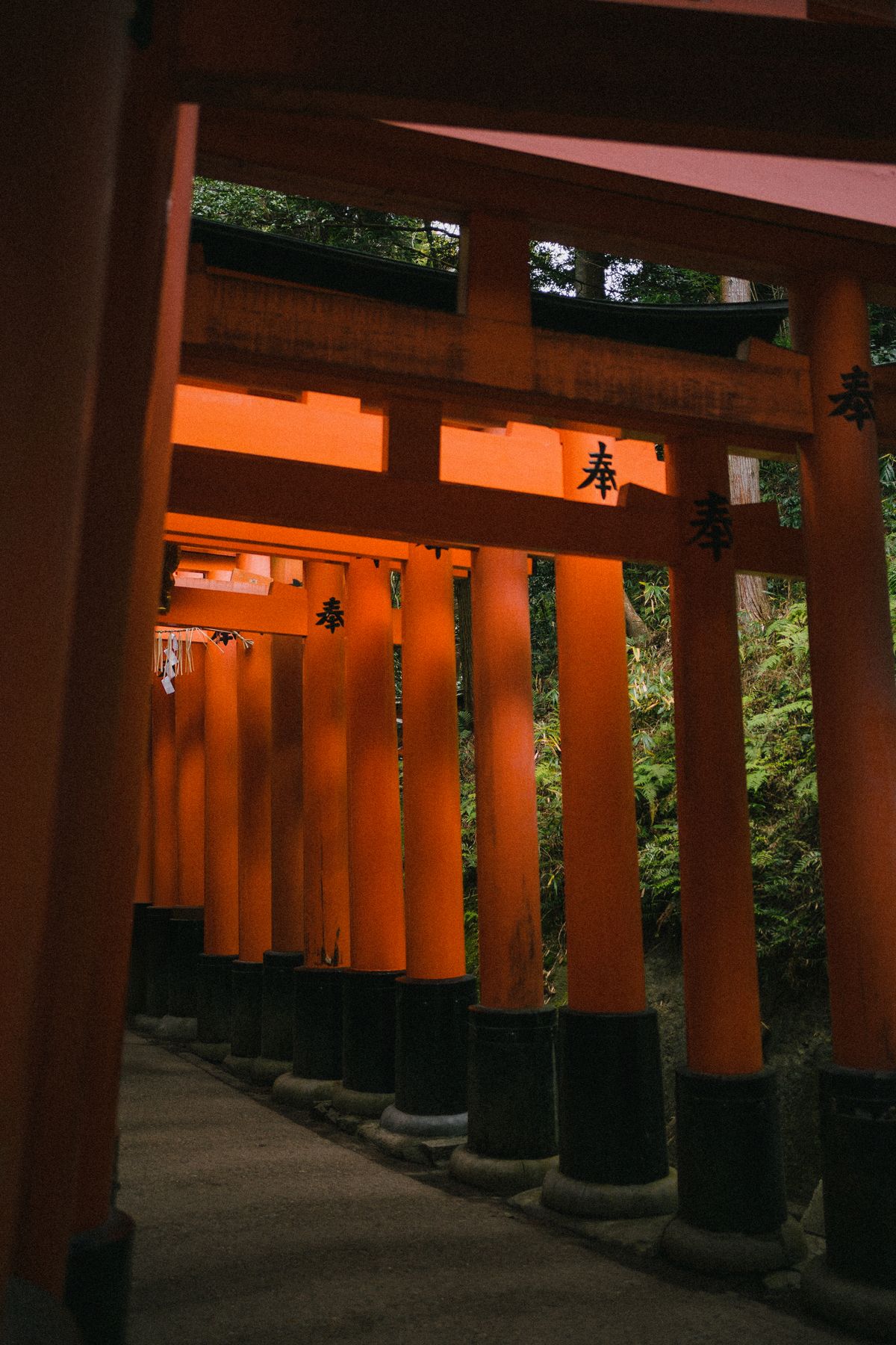Red Torii Gate Pathway at Fushimi Inari Taisha · Free Stock Photo