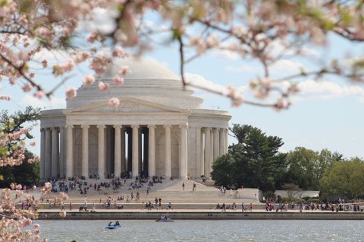 Cherry blossoms (early April) — Washington, DC