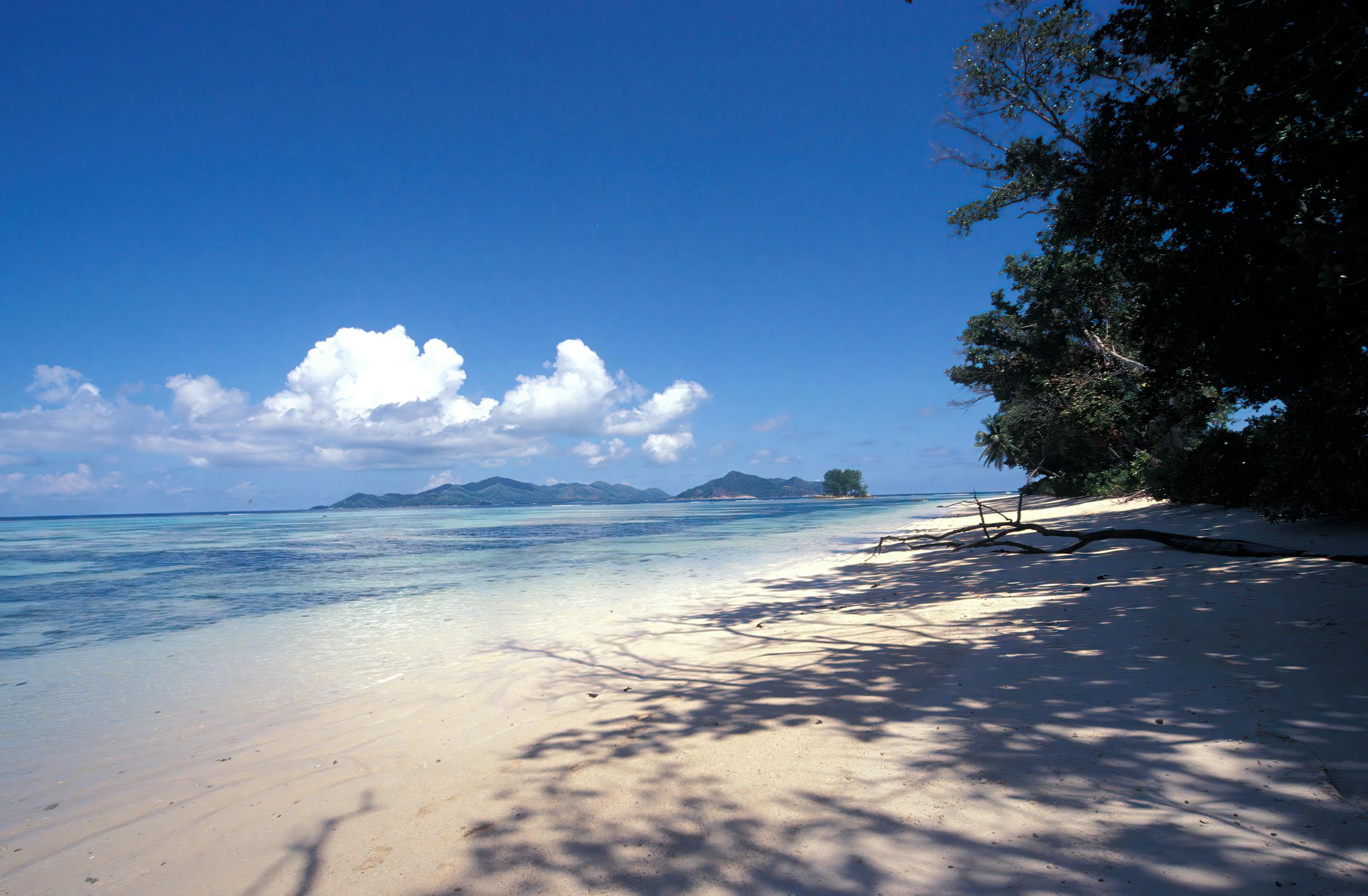 free photo of tropical beach in seychelles with clear blue sky