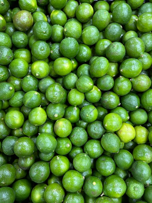 Jeruk Nipis (Citrus aurantiifolia) - Featured Image