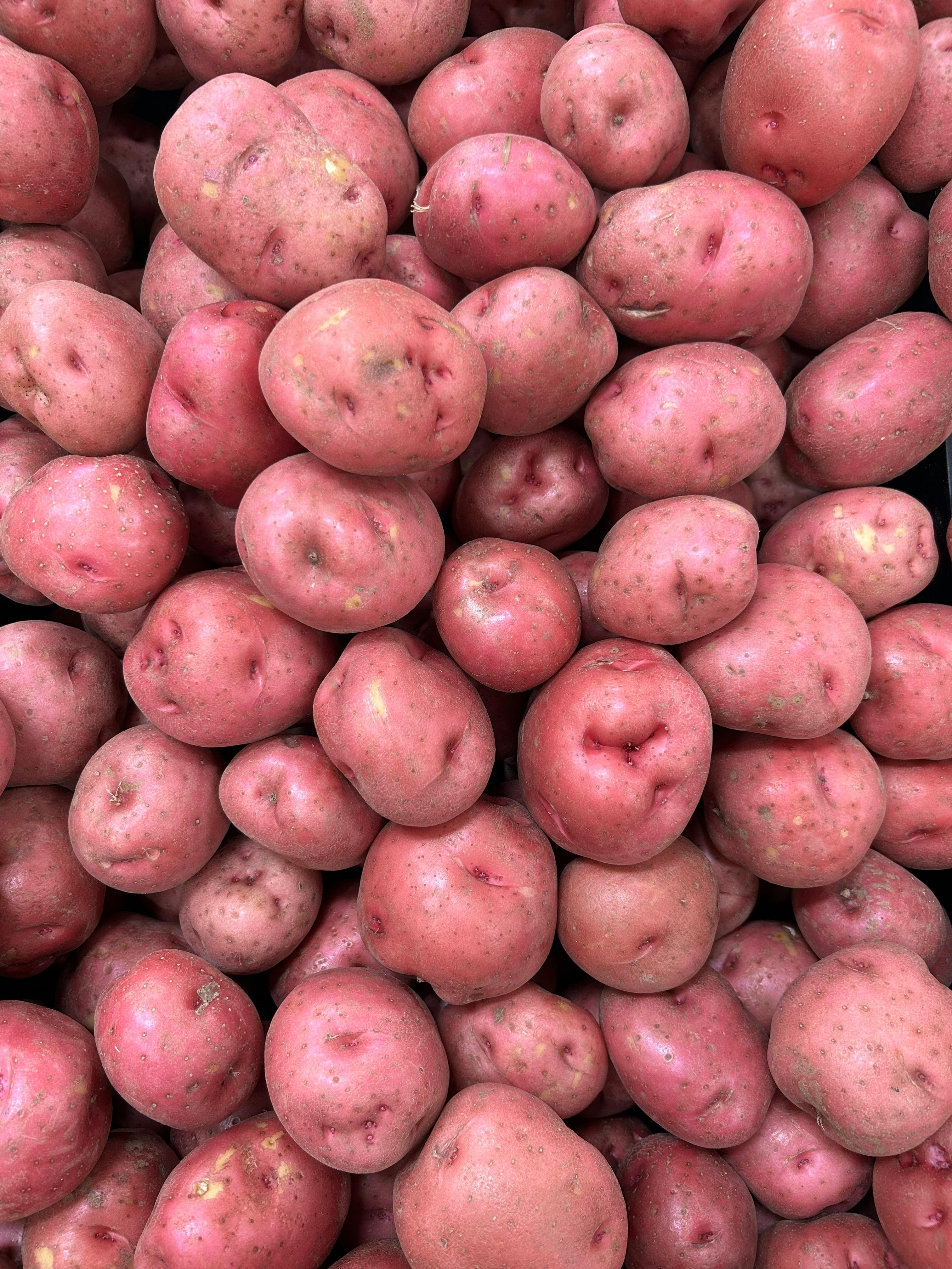 Mastering Potato Harvest Timing: When to Dig for New Potatoes vs. Storage, and How to Maximize Yields Without Damaging Tubers