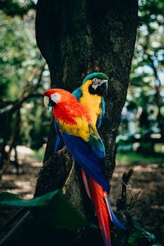  Amazon Bikin AI Belanja - belanja 2