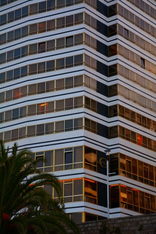 Free A modern multi-story building captured at dusk with palm fronds in the foreground. Stock Photo