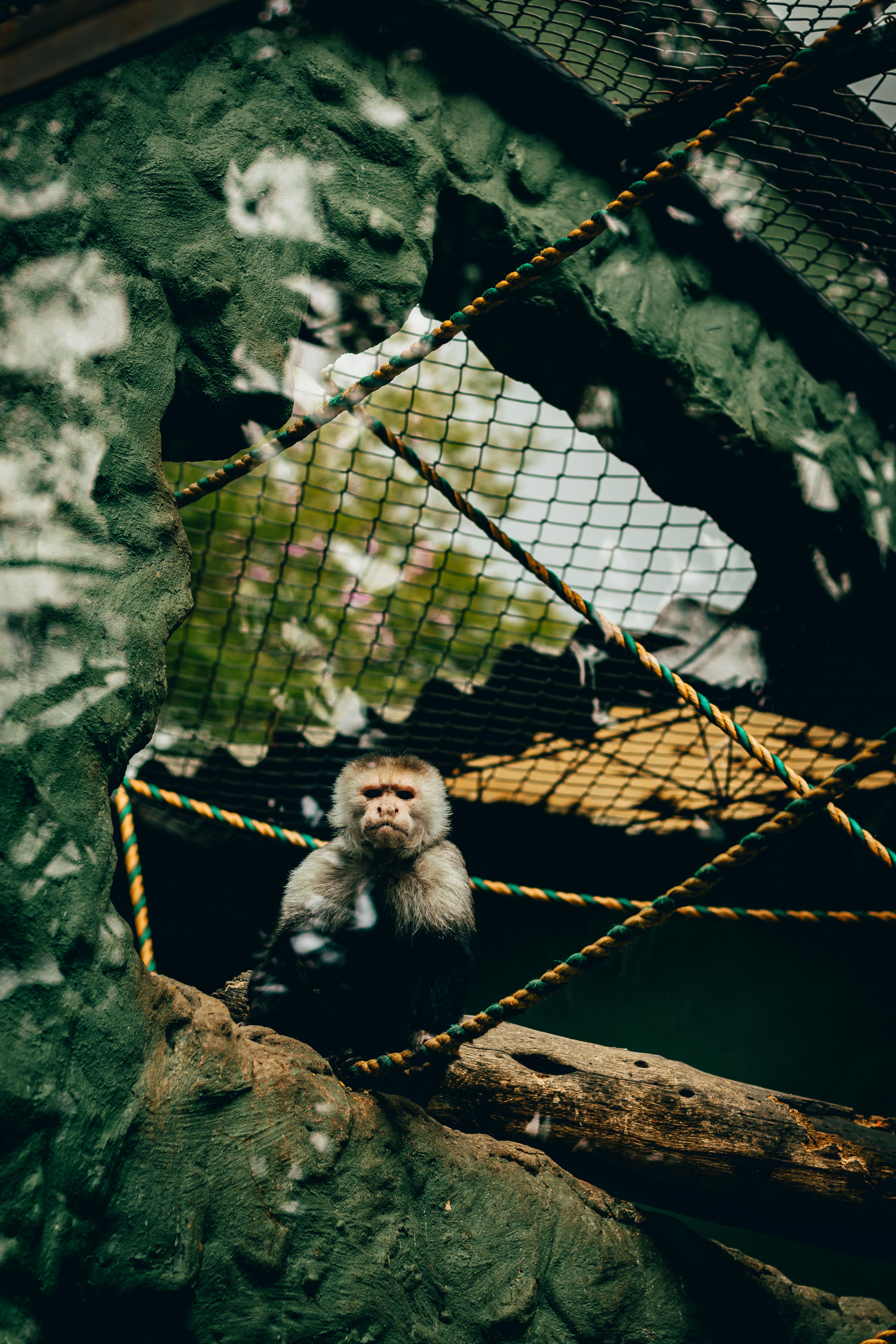 Plzen Zoo
