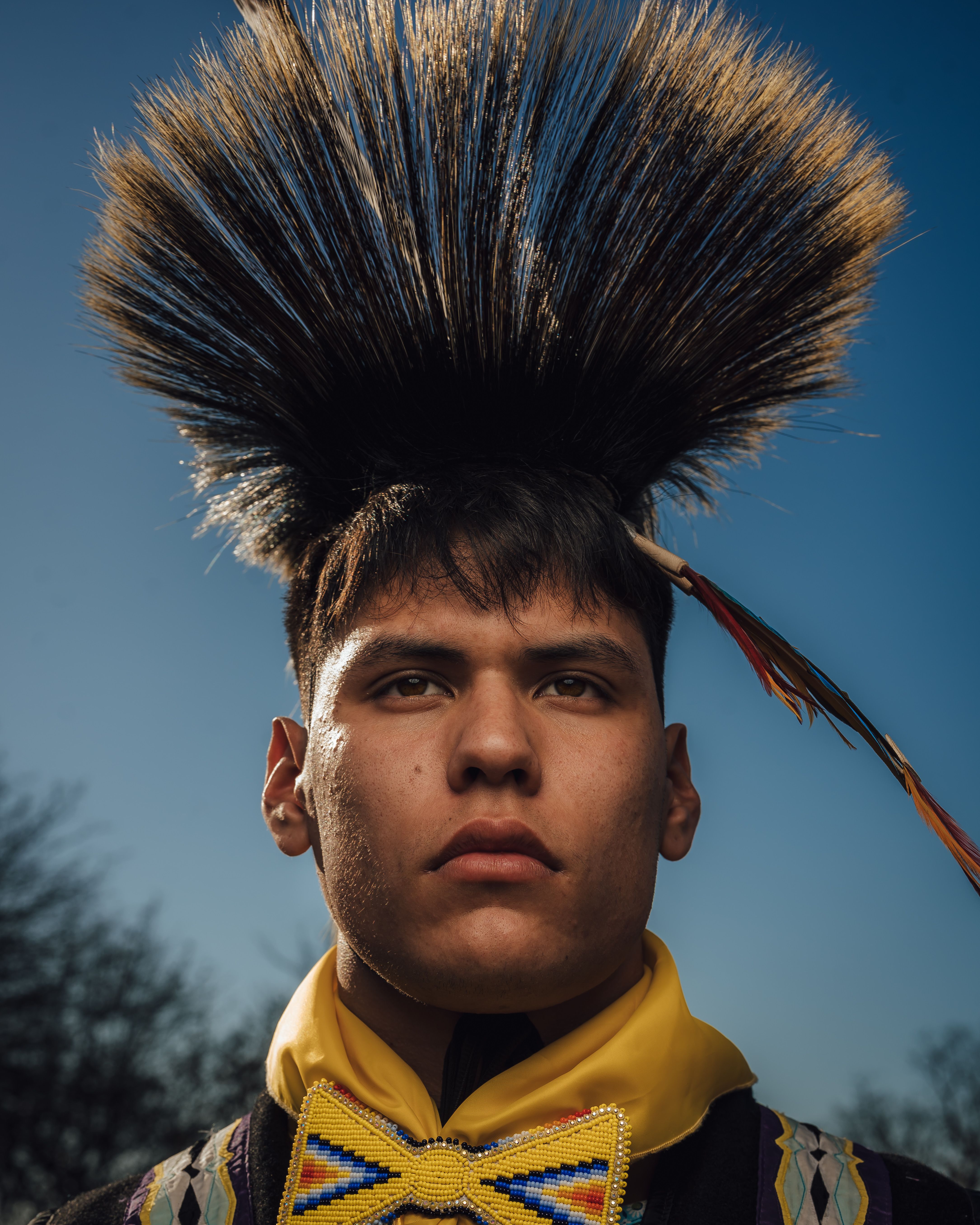 Native Bids Photos, Download The BEST Free Native Bids Stock Photos ...