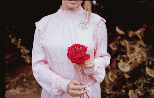 Free Ondiepe Focusfoto Van Persoon In Roze Shirt Met Lange Mouwen Met Rode Bloem Stock Photo