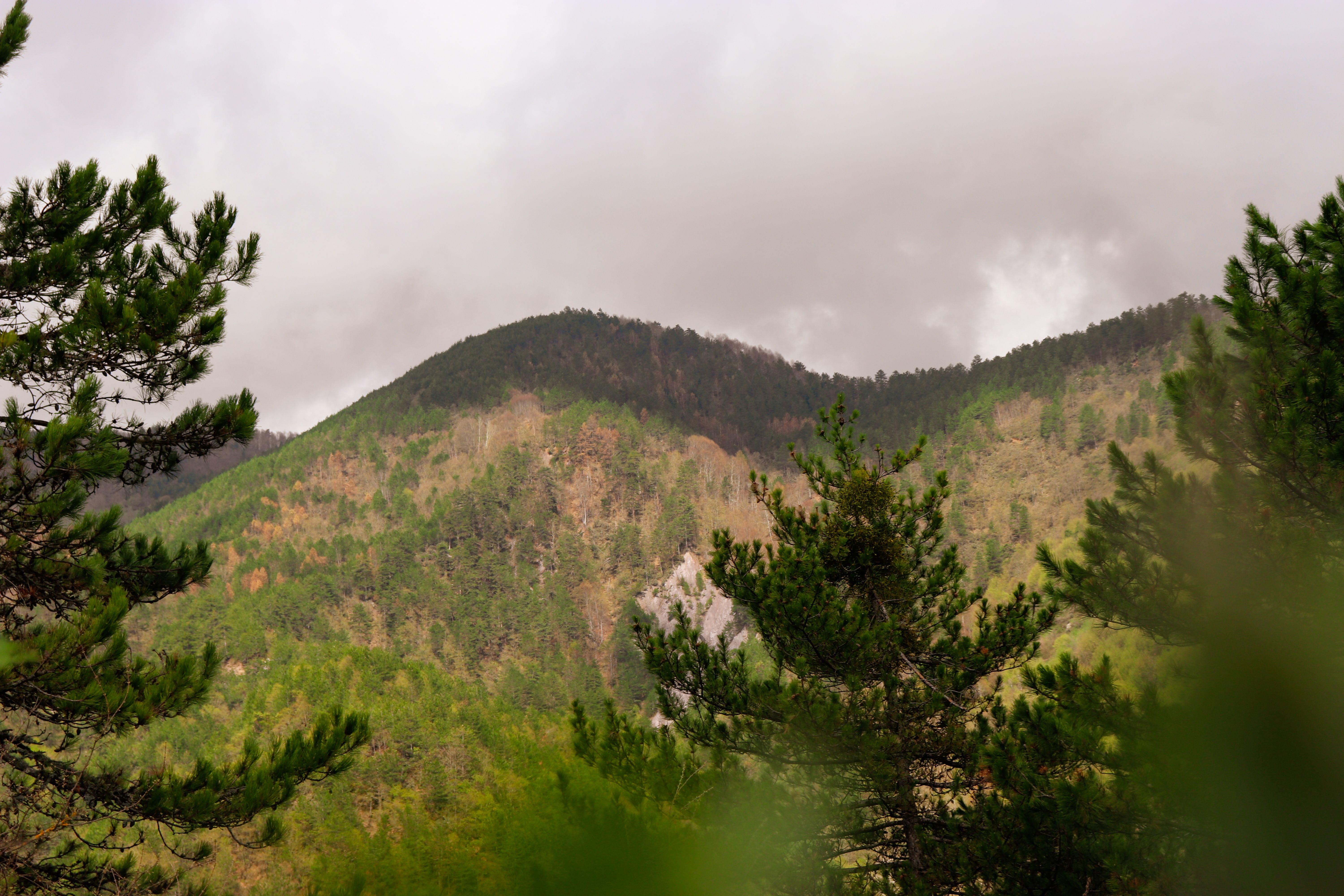 Lush Green Mountain Landscape Under Cloudy Sky · Free Stock Photo