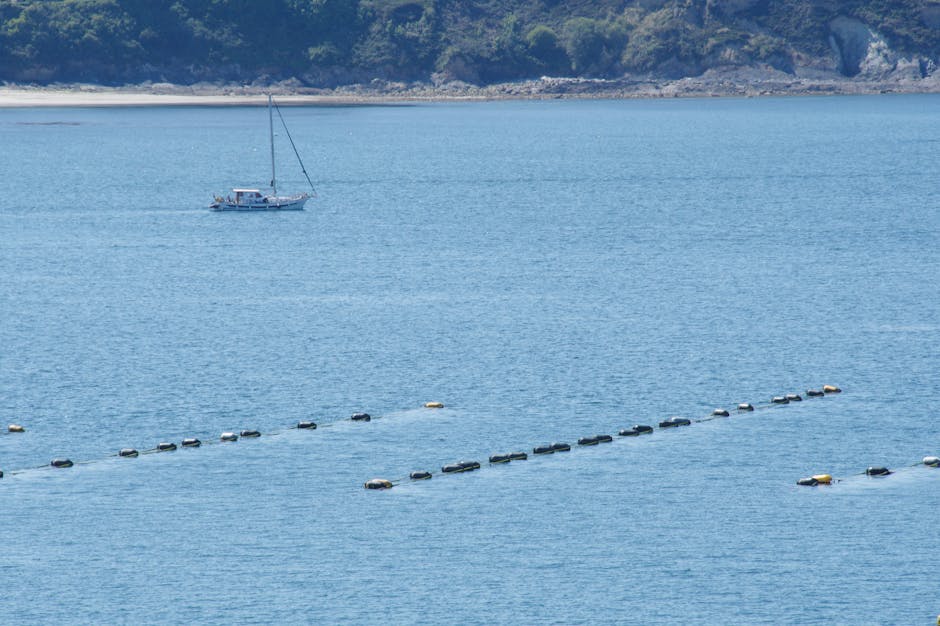 Scenic view of a sailboat near oyster farms in Brittany waters.