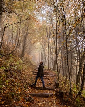 在田纳西州加特林堡，一名独自徒步的旅行者正沿着一条雾蒙蒙的秋季森林小径前行