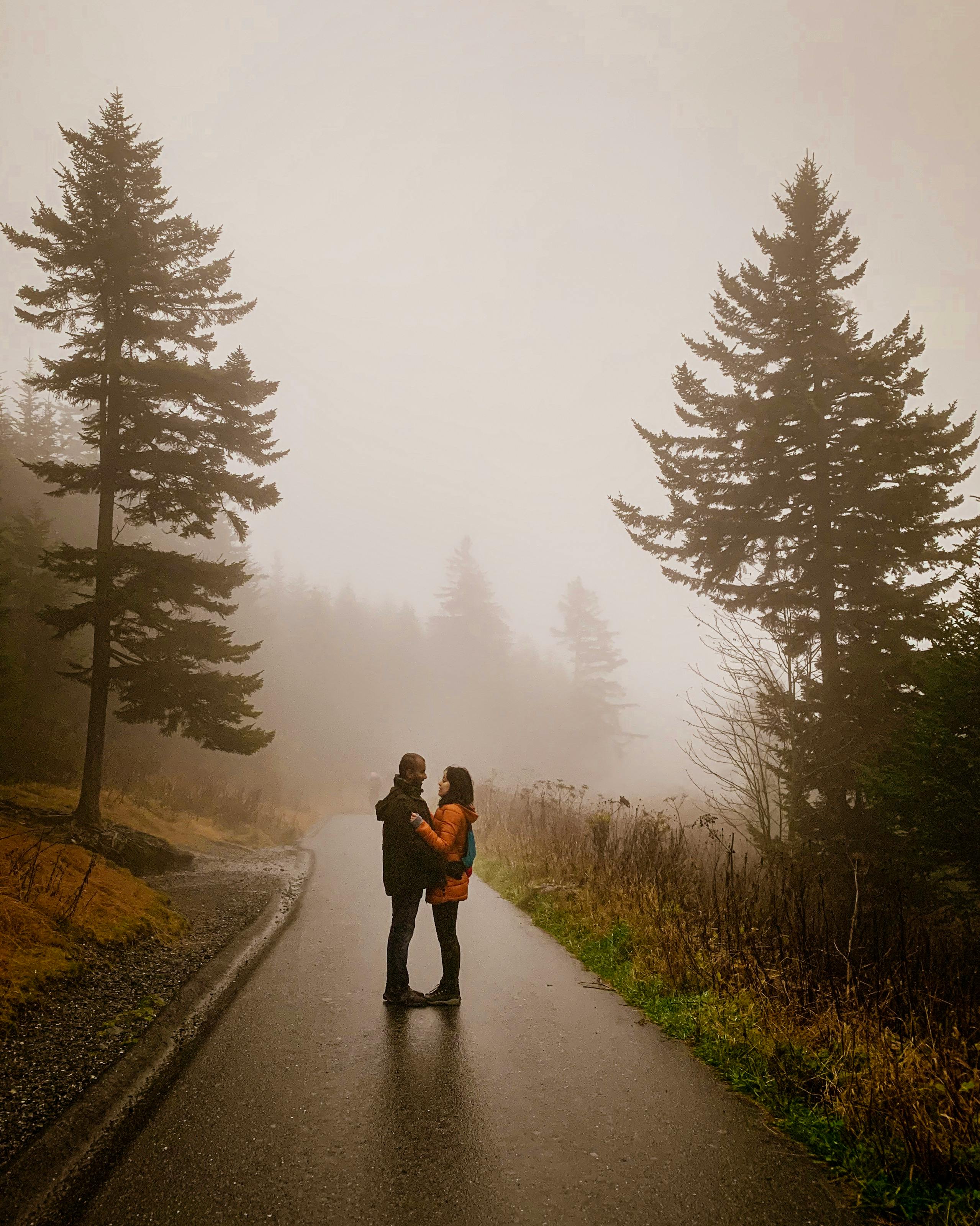 在田纳西州加特林堡一条雾蒙蒙的道路上，一对夫妇相拥而立，四周环绕着宁静森林中高大的树木
