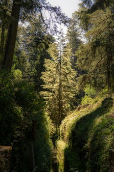 Image by Diana Reyes