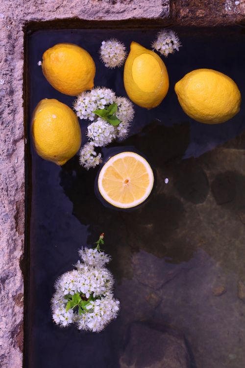 Free Vibrant lemons and white blossoms floating in water with stone borders. Stock Photo