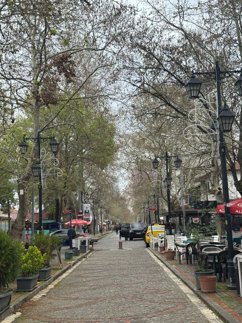 Free A picturesque cobblestone street with outdoor cafes, trees, and classic lamp posts. Stock Photo