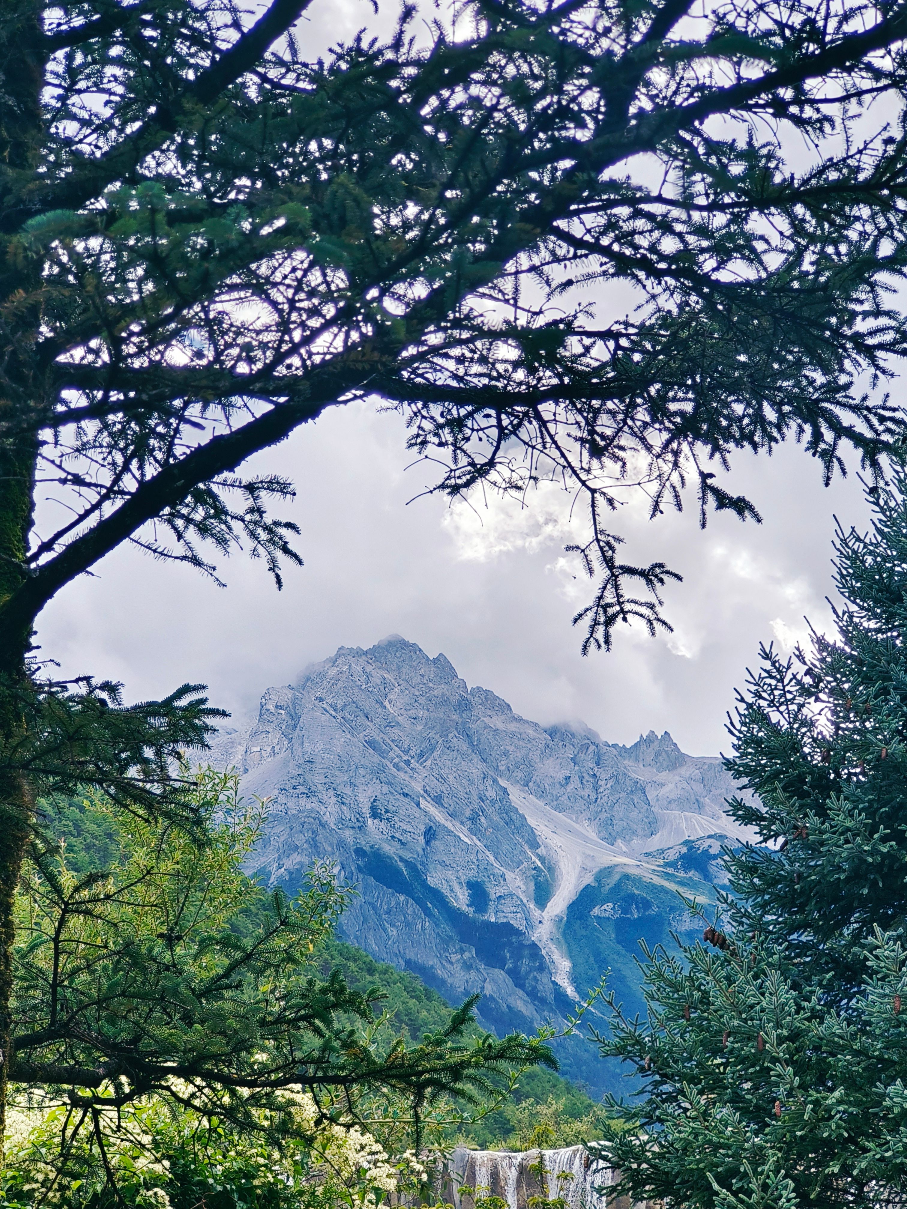 Majestic Alpine Mountain Landscape with Lush Greenery · Free Stock Photo