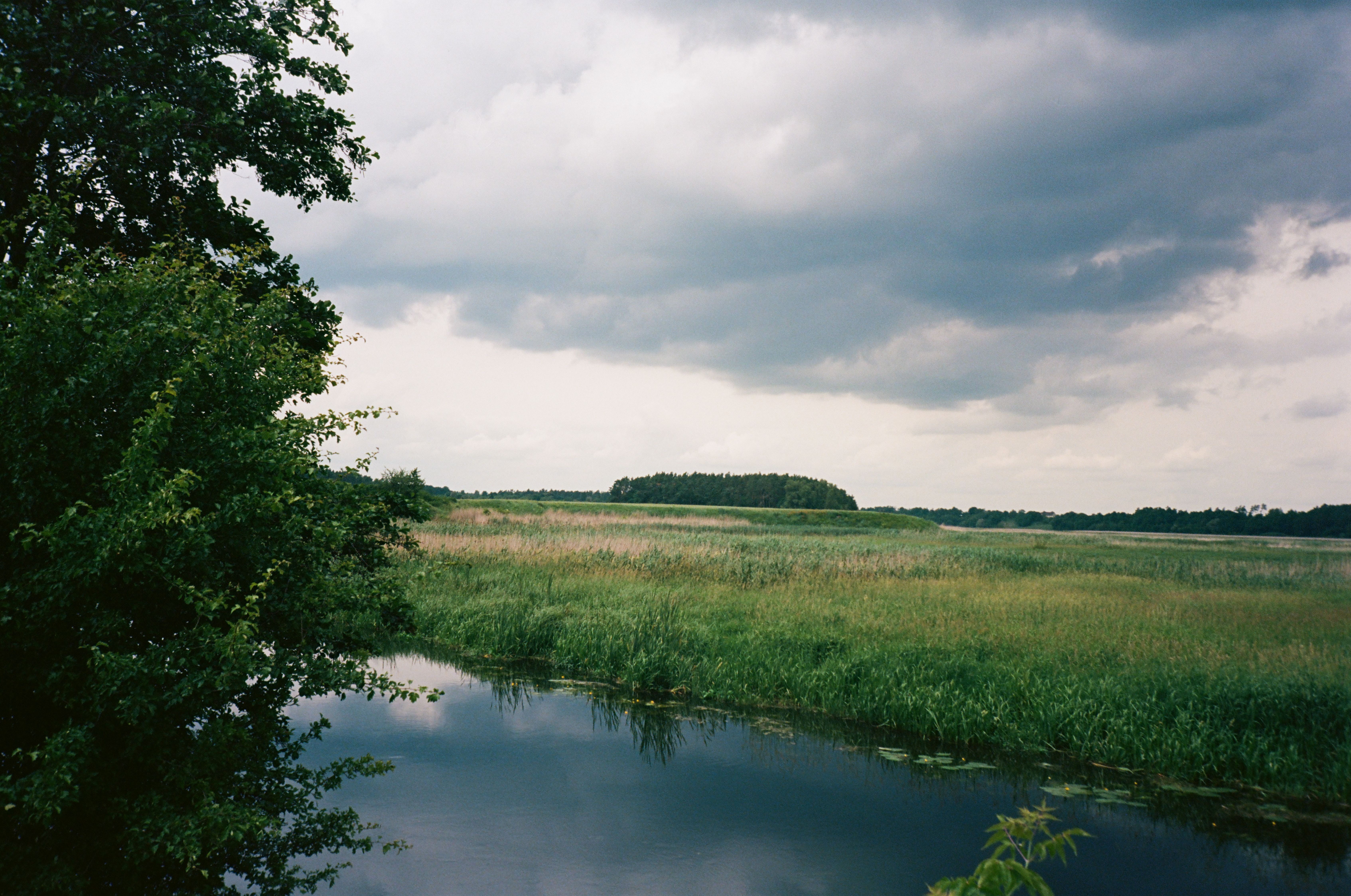 Reed And River Photos, Download The BEST Free Reed And River Stock ...