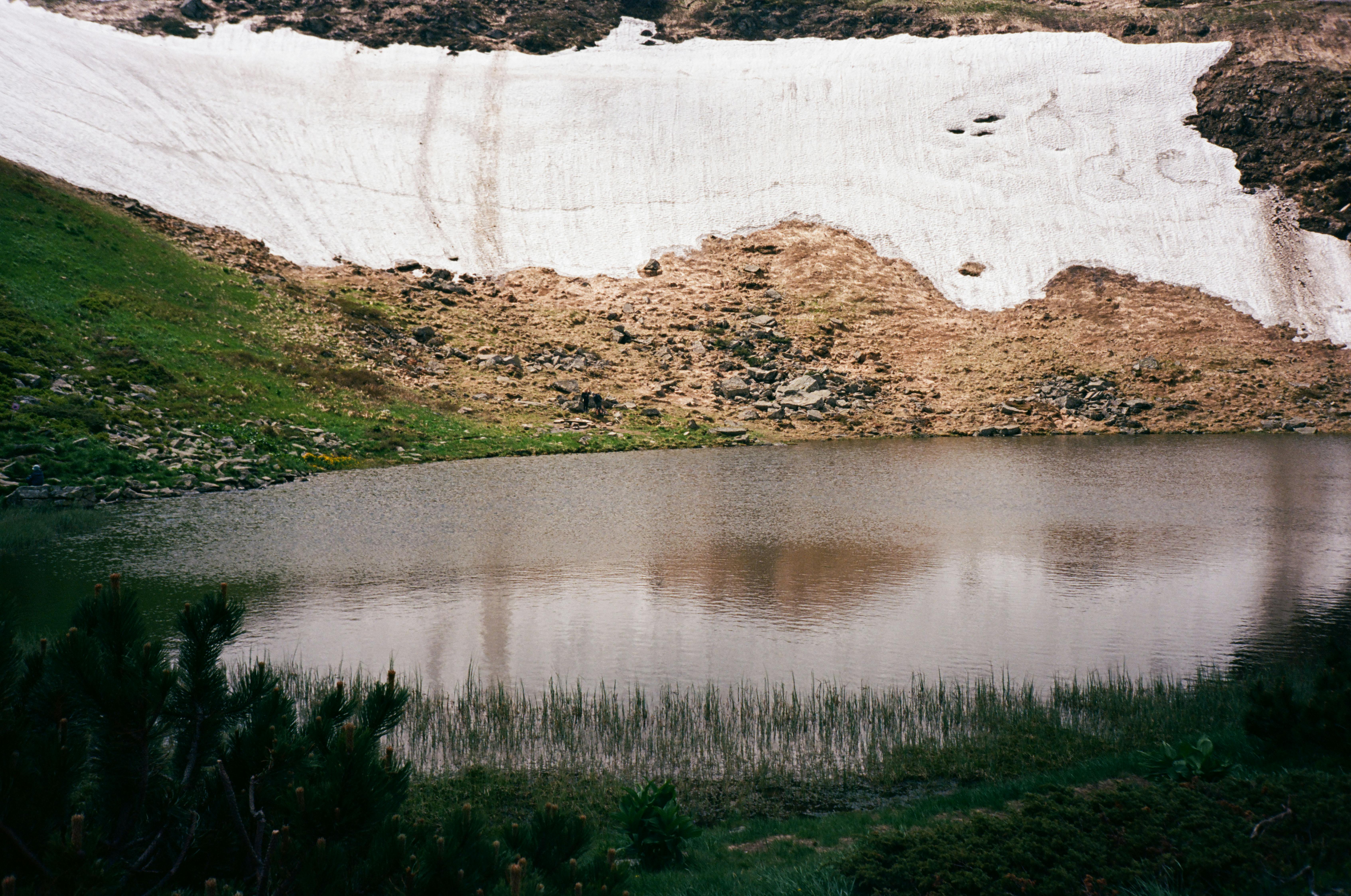 Snowmelt Trickles