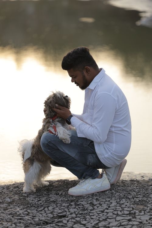 Free A man crouches beside a Shih Tzu dog by a tranquil lakeside at sunset, sharing a peaceful moment. Stock Photo
